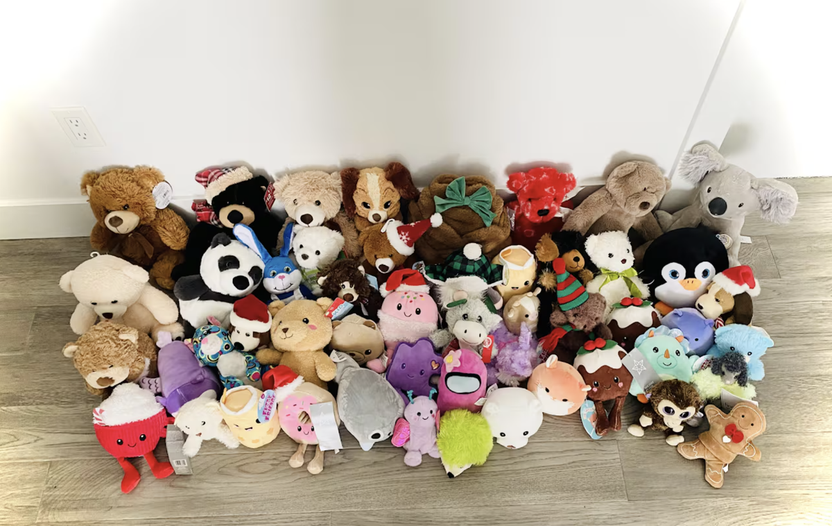 Thiếu nữ 15 tuổi "đánh thức" nụ cười của các bệnh nhi- Ảnh 2.