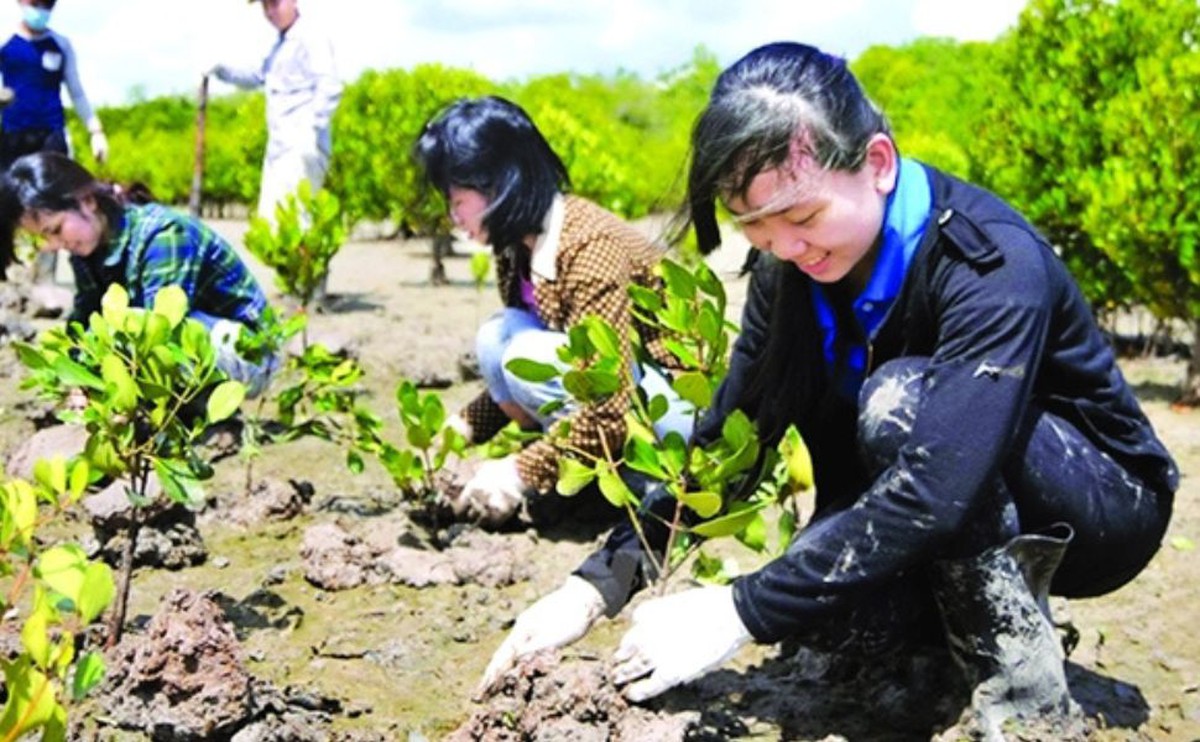 Lồng ghép giới trong Kế hoạch quốc gia thích ứng với biến đổi khí hậu: Từ chính sách đến hành động bền vững- Ảnh 2.