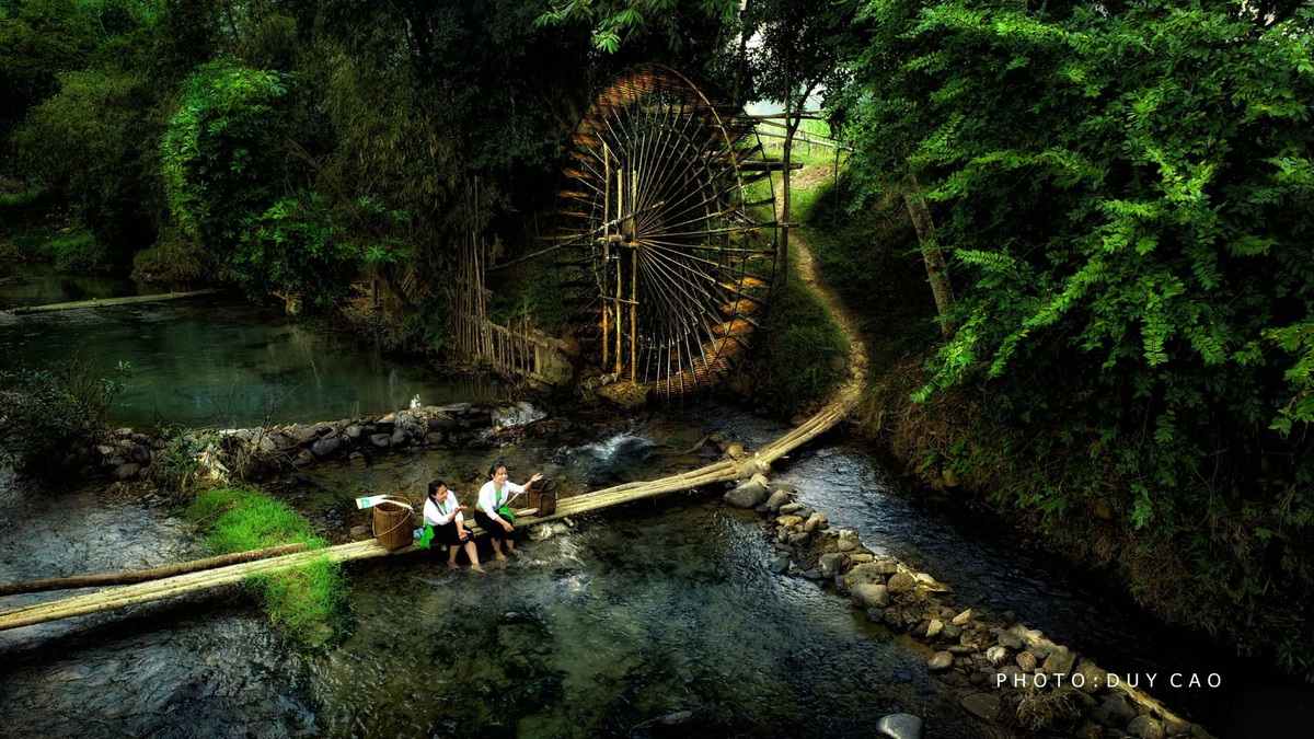 Triển lãm "Hương sắc vùng cao" quảng bá văn hóa, du lịch Sơn La năm 2026- Ảnh 2.