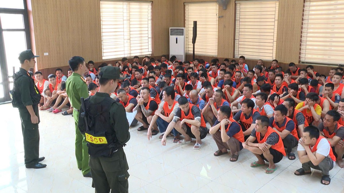 Triệt phá đường dây chọi gà nghìn tỷ, khởi tố 196 bị can- Ảnh 2.