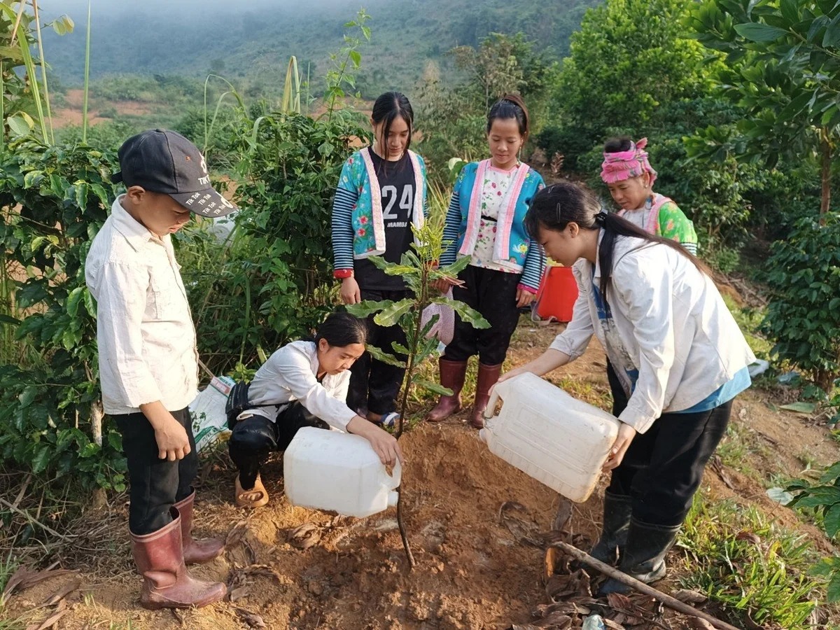 Lồng ghép giới trong chính sách khí hậu: Từ kinh nghiệm quốc tế đến kiến nghị hành động cho Việt Nam- Ảnh 3.
