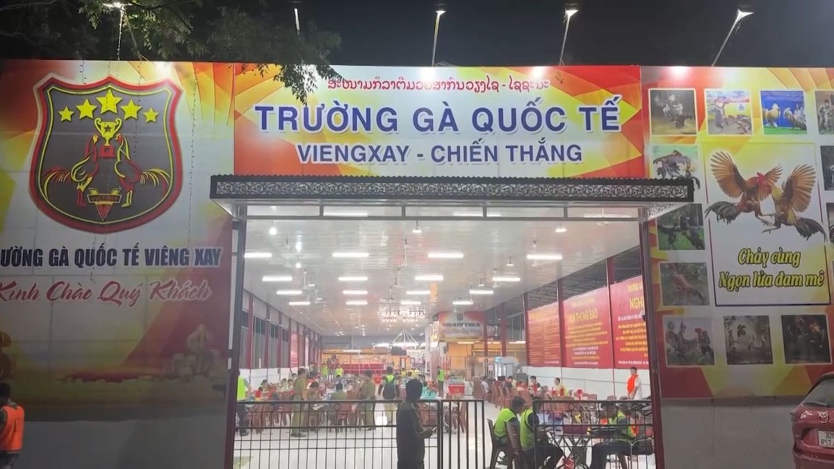 Triệt phá đường dây chọi gà nghìn tỷ, khởi tố 196 bị can- Ảnh 1.