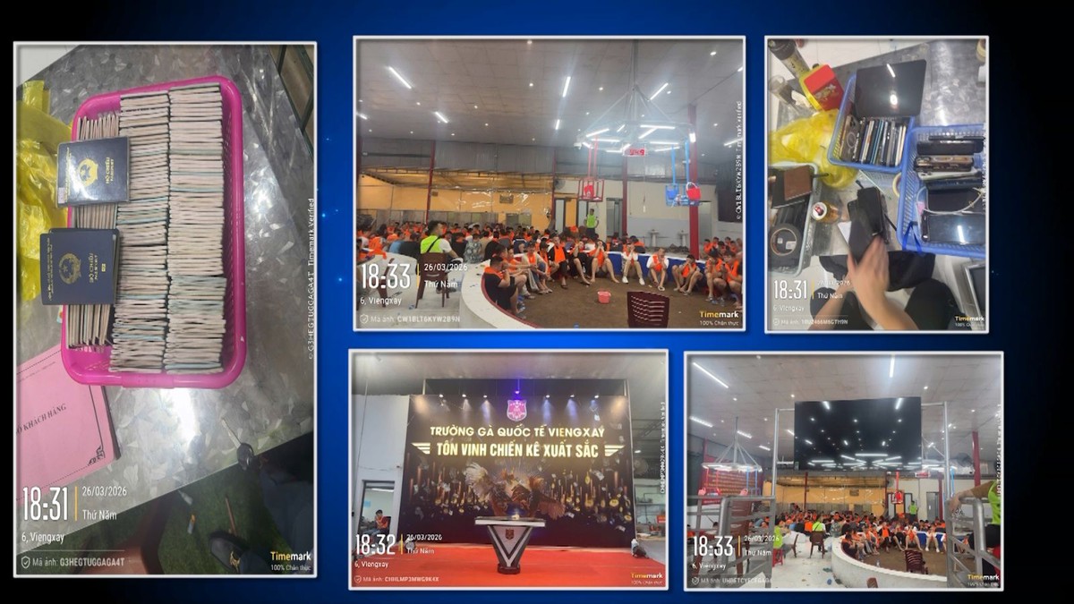 Triệt phá đường dây chọi gà nghìn tỷ, khởi tố 196 bị can- Ảnh 4.