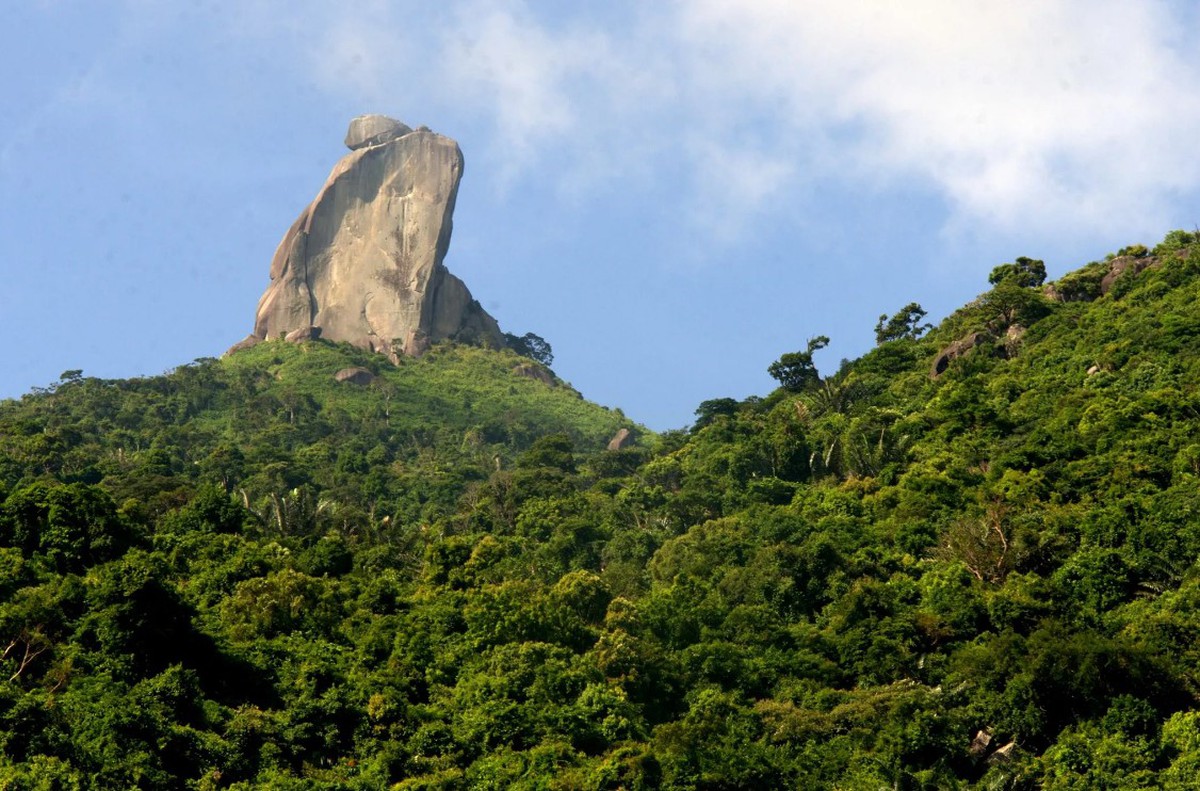 Đắk Lắk tung "át chủ bài" dịp 30/4 bằng chương trình hút khách: "Cá ngừ Đắk Lắk - Tinh hoa câu vàng"- Ảnh 2.