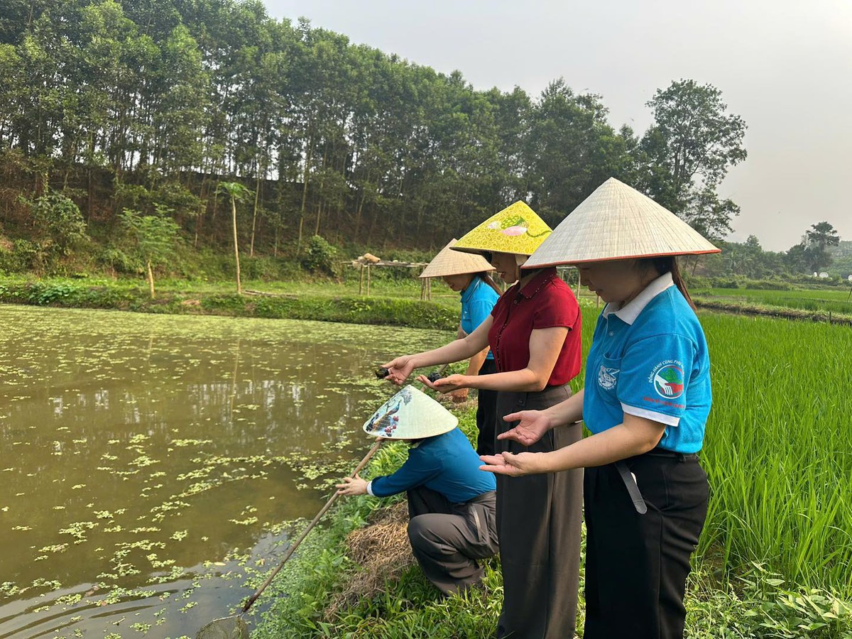 Người phụ nữ ở Hợp Thành tiên phong biến ruộng trũng thành “mỏ vàng” ốc nhồi- Ảnh 3.