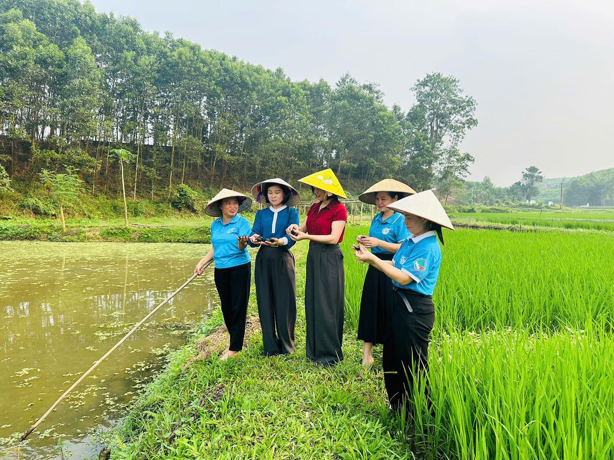 Người phụ nữ ở Hợp Thành tiên phong biến ruộng trũng thành “mỏ vàng” ốc nhồi- Ảnh 2.