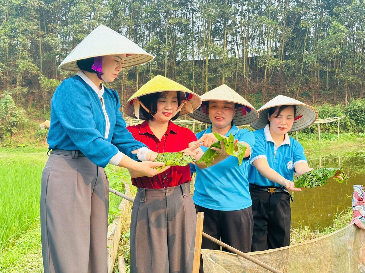 Người phụ nữ ở Hợp Thành tiên phong biến ruộng trũng thành “mỏ vàng” ốc nhồi- Ảnh 1.