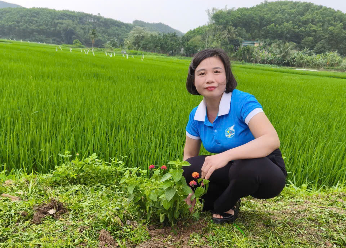 Mô hình "Ruộng lúa - Bờ hoa" chào mừng Đại hội Phụ nữ toàn quốc lần thứ XIV- Ảnh 1.