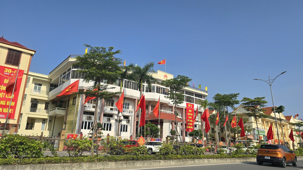 Đường phố Hải Phòng rực rỡ cờ hoa mừng 51 năm Ngày đất nước thống nhất- Ảnh 4.