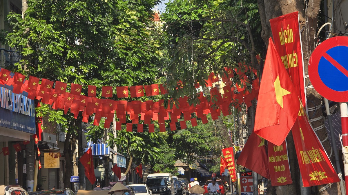 Đường phố Hải Phòng rực rỡ cờ hoa mừng 51 năm Ngày đất nước thống nhất- Ảnh 5.