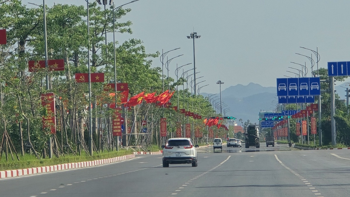 Đường phố Hải Phòng rực rỡ cờ hoa mừng 51 năm Ngày đất nước thống nhất- Ảnh 8.