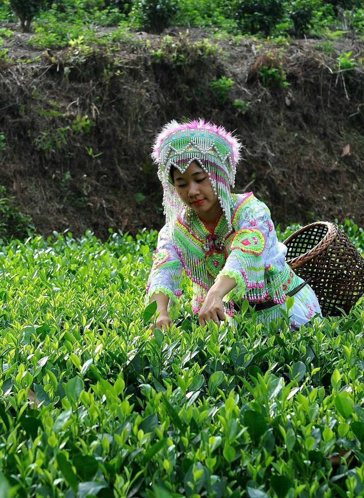 Chuyển đổi xanh - thước đo năng lực thích ứng của doanh nghiệp do phụ nữ làm chủ- Ảnh 1.