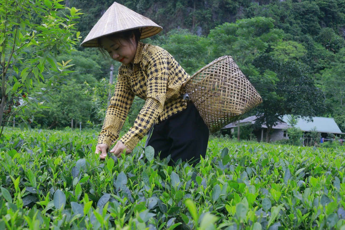Chuyển đổi xanh - thước đo năng lực thích ứng của doanh nghiệp do phụ nữ làm chủ- Ảnh 3.