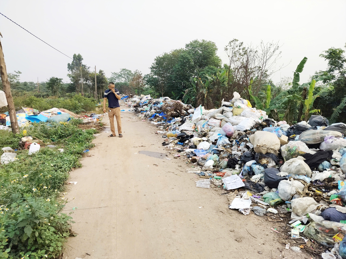 Sở Nông nghiệp và Môi trường tỉnh Hưng Yên sẽ kiểm tra thực tế sau phản ánh bãi rác "vỡ trận"- Ảnh 3.