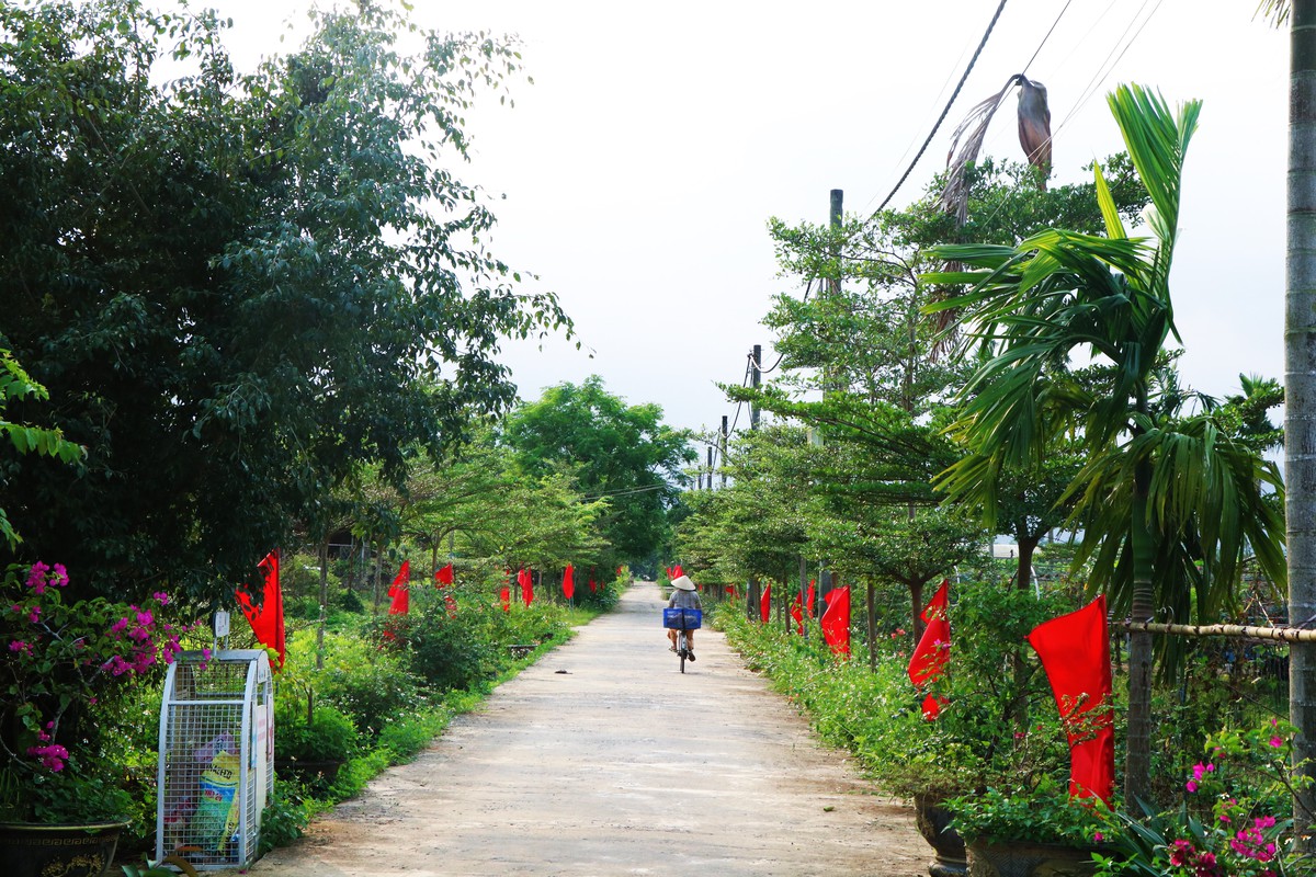 Phụ nữ Túy Loan giữ nhịp sống xanh cho làng rau sạch- Ảnh 9.