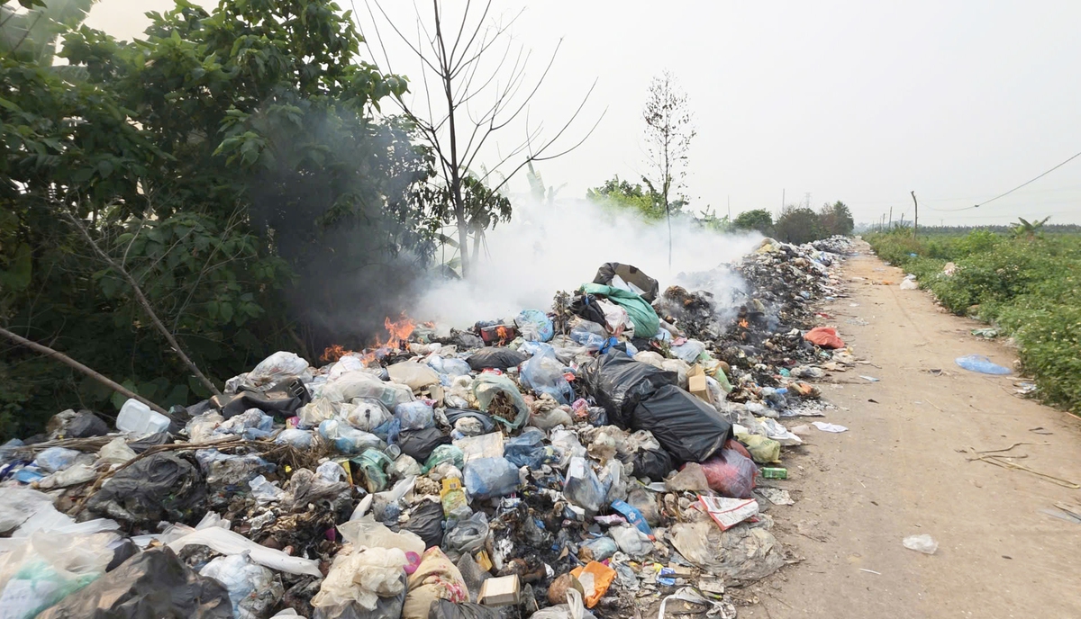 Sở Nông nghiệp và Môi trường tỉnh Hưng Yên sẽ kiểm tra thực tế sau phản ánh bãi rác "vỡ trận"- Ảnh 1.