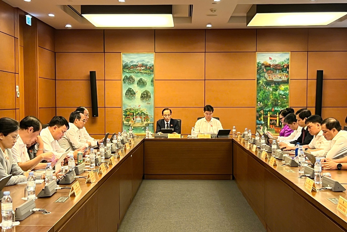 Đại biểu Quốc hội quan ngại việc lợi dụng không gian mạng trong hoạt động tín ngưỡng, tôn giáo- Ảnh 1.