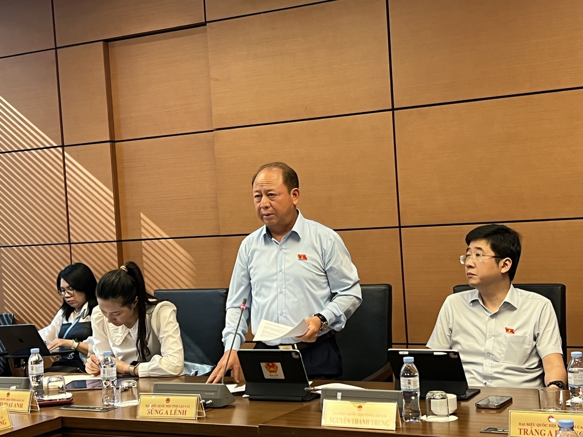 Đại biểu Quốc hội quan ngại việc lợi dụng không gian mạng trong hoạt động tín ngưỡng, tôn giáo- Ảnh 2.