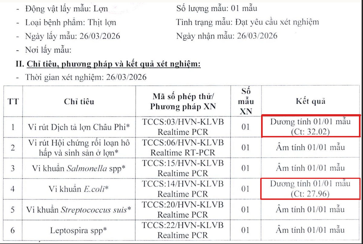 Dùng thịt lợn nhiễm bệnh: Thái Nguyên tạm đình chỉ Hiệu trưởng Trường Mầm non Hòa Bình- Ảnh 2.