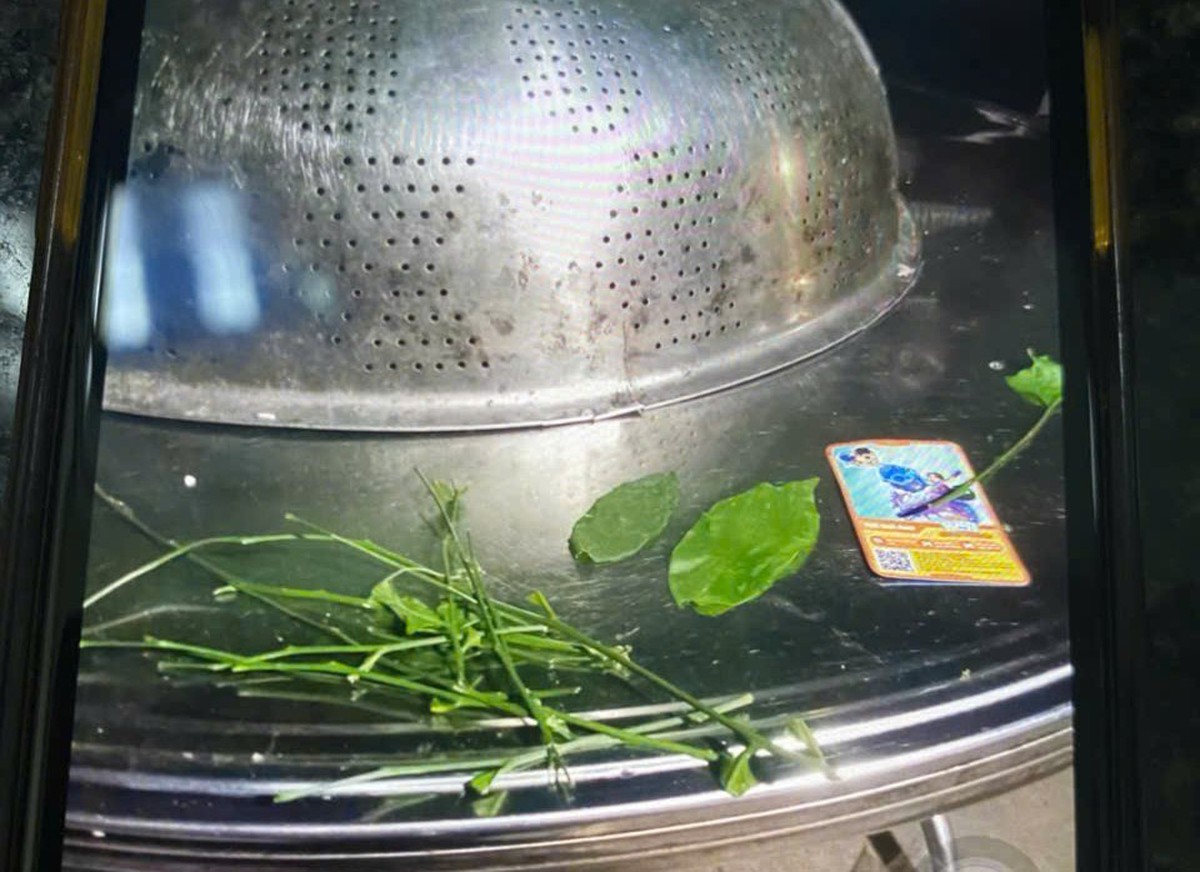 Cứu sống 2 bệnh nhân nguy kịch do ngộ độc lá ngón- Ảnh 1.