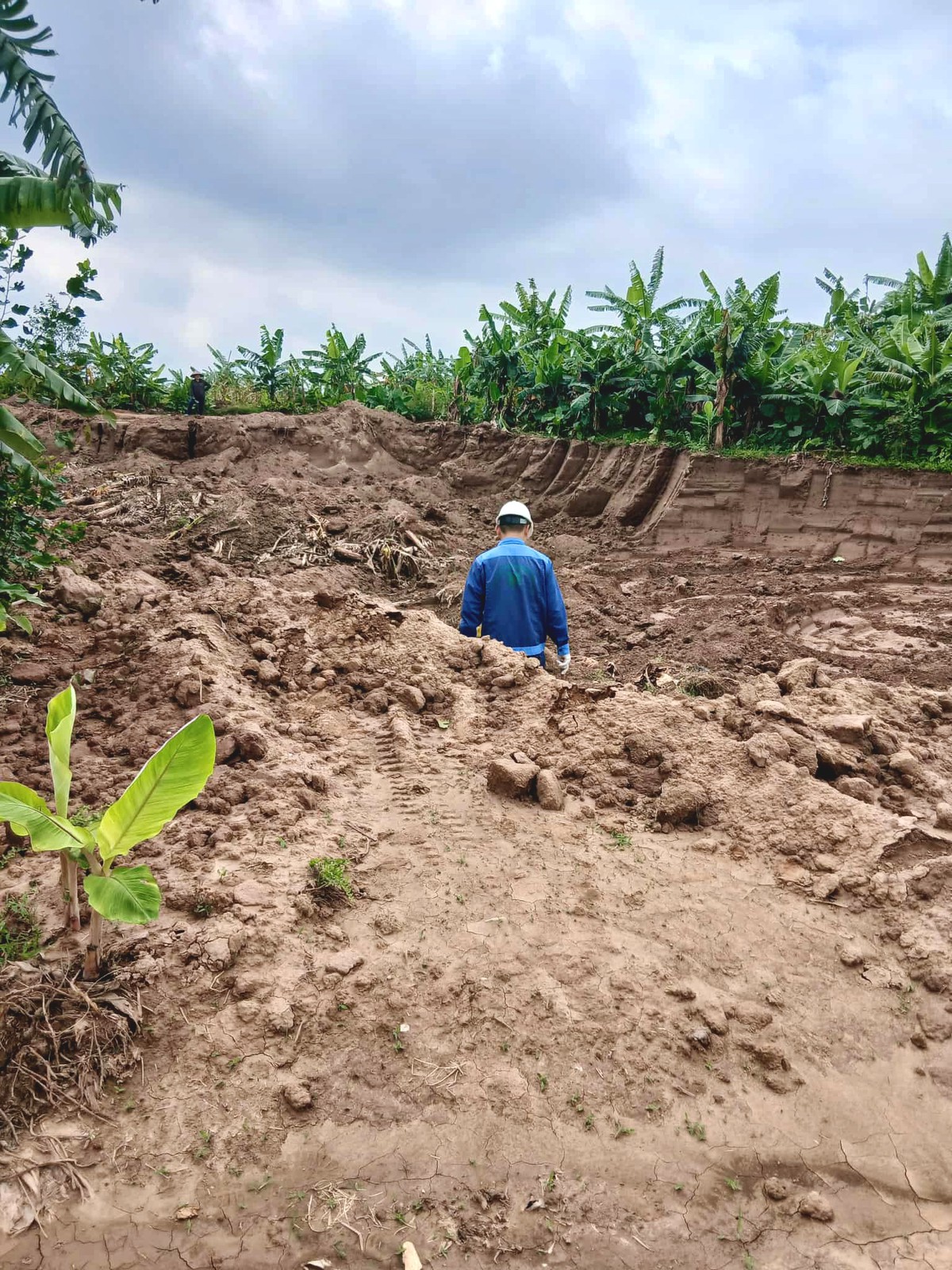 Ruộng bị xúc, chuối bị mất, vụ án không khởi tố: Quyền lợi người dân đi về đâu? - Ảnh 1.