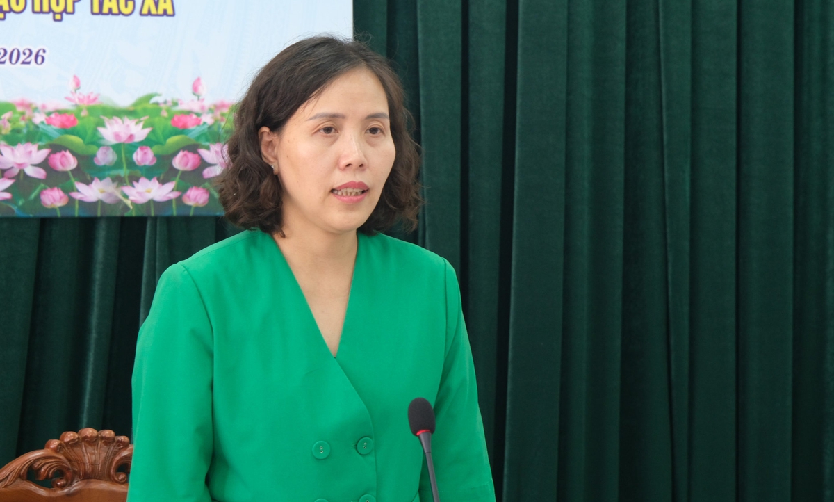 Hội LHPN Việt Nam bàn giải pháp phát huy vai trò của phụ nữ trong phát triển hợp tác xã- Ảnh 1.
