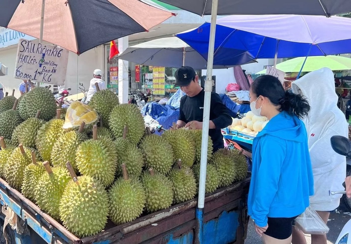 Trái sầu riêng với "nỗi sầu" rớt giá- Ảnh 1.