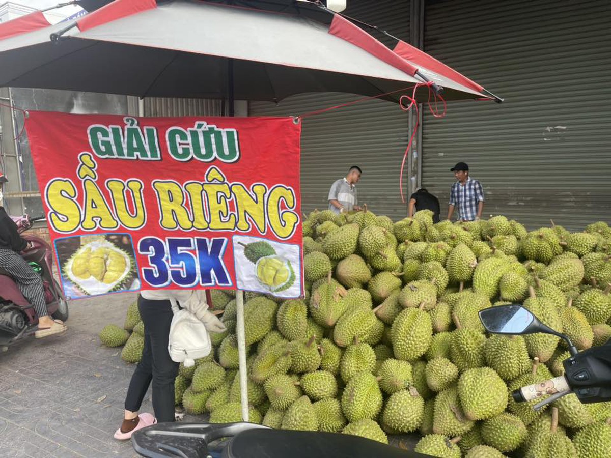 Trái sầu riêng với "nỗi sầu" rớt giá- Ảnh 2.