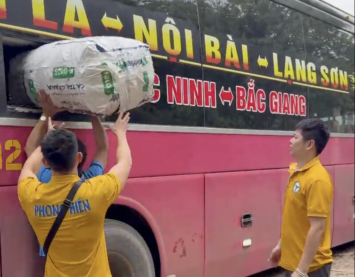 Quản lý Thị trường Lạng Sơn trả lại lô hàng 80kg xác ve sầu khô- Ảnh 1.