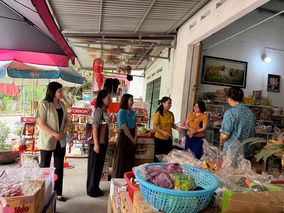 Hội LHPN tỉnh Lạng Sơn tăng cường kiểm tra, giám sát công tác Hội ở cơ sở- Ảnh 3.