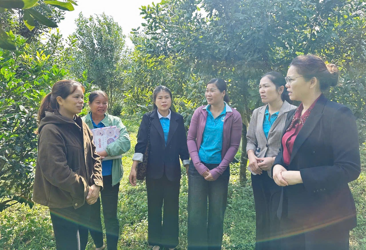 Hội LHPN tỉnh Lạng Sơn tăng cường kiểm tra, giám sát công tác Hội ở cơ sở- Ảnh 4.