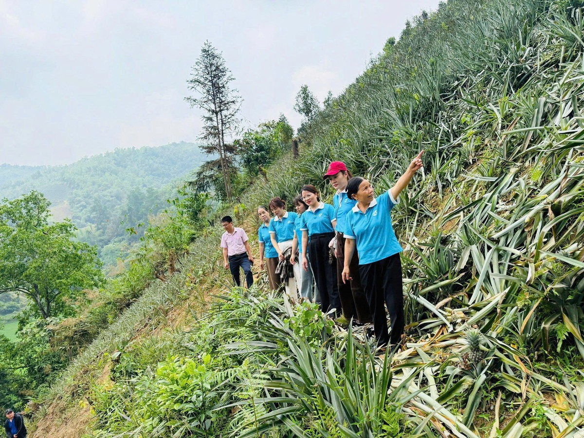 Cao Bằng: Nhiều công trình, phần việc thiết thực chào mừng Đại hội Phụ nữ toàn quốc XIV- Ảnh 2.