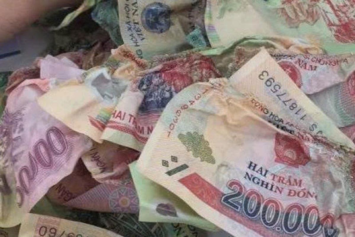 Tiền cháy còn 30% vẫn có thể được ngân hàng đổi nếu nhận diện được ít nhất hai yếu tố này- Ảnh 2. Tiền cháy còn 30% vẫn có thể được ngân hàng đổi nếu nhận diện được ít nhất hai yếu tố này- Ảnh 2.