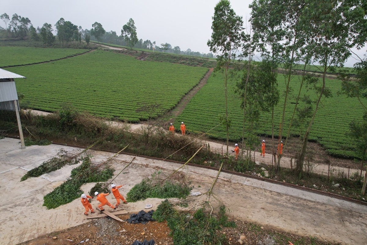 Điện lực miền Bắc triển khai nhiều giải pháp bảo đảm cung cấp điện mùa nắng nóng- Ảnh 1.