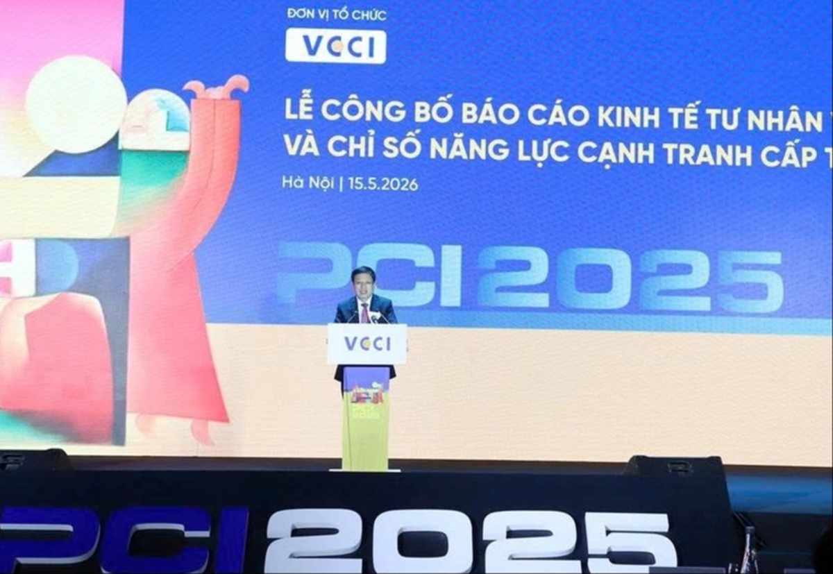 Kinh tế tư nhân Việt Nam "đông nhưng chưa mạnh"- Ảnh 1.