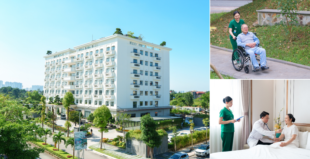 Xu hướng "hồi hương dưỡng lão": Khi người Việt xa xứ mong được trở về quê hương- Ảnh 3. Xu hướng "hồi hương dưỡng lão": Khi người Việt xa xứ mong được trở về quê hương- Ảnh 3.