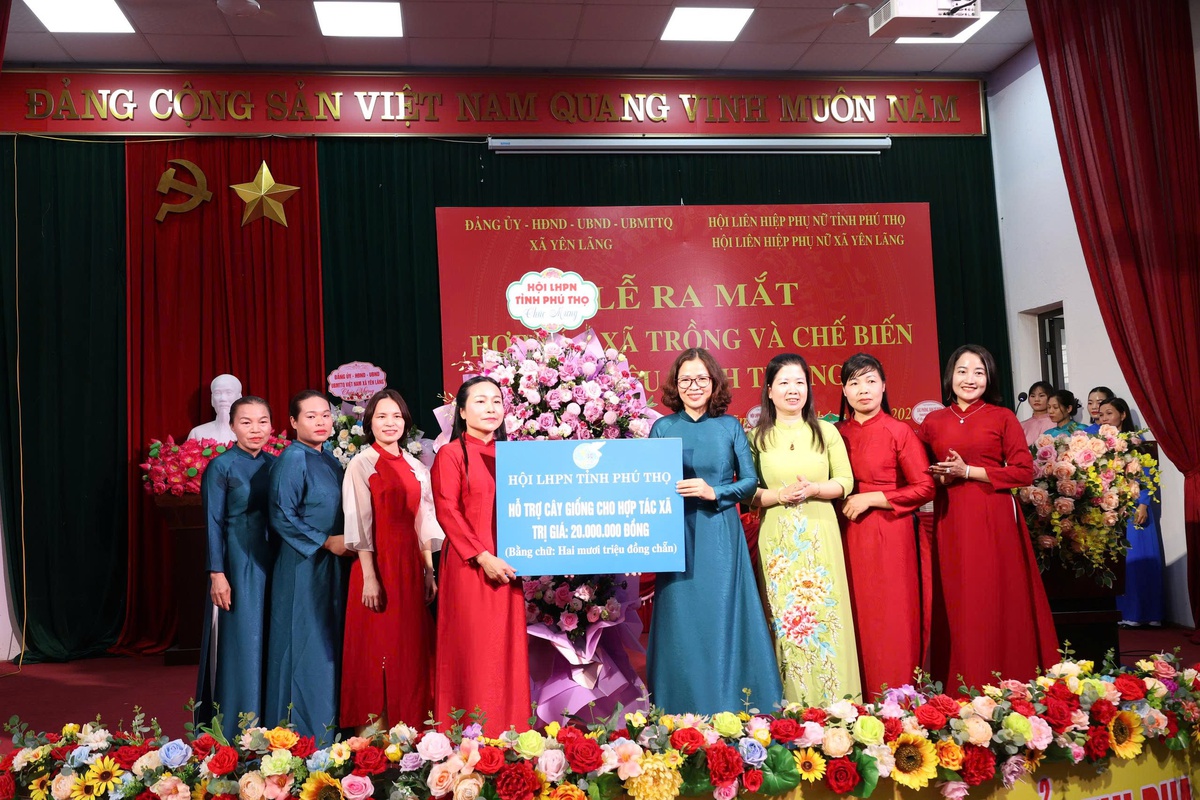 Đồng hành cùng phụ nữ trung du phát triển vùng dược liệu sạch- Ảnh 7.