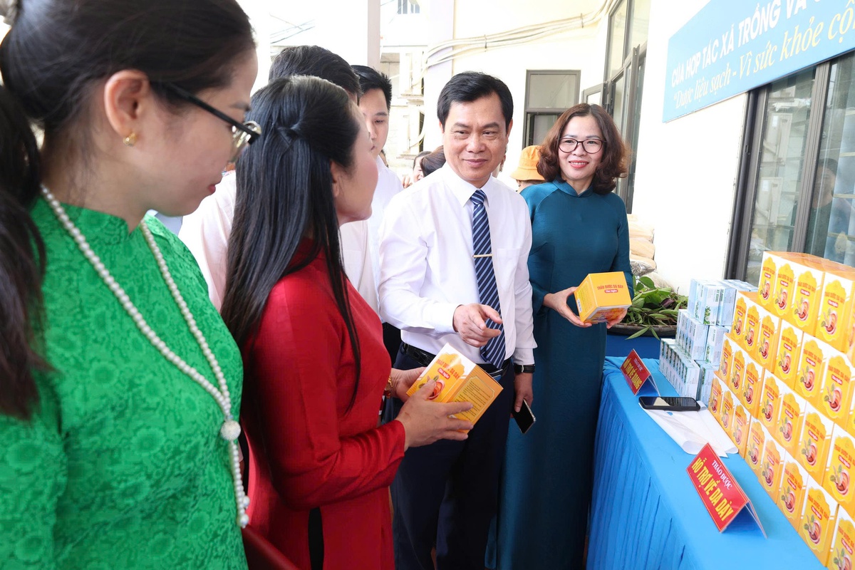 Đồng hành cùng phụ nữ trung du phát triển vùng dược liệu sạch- Ảnh 8.