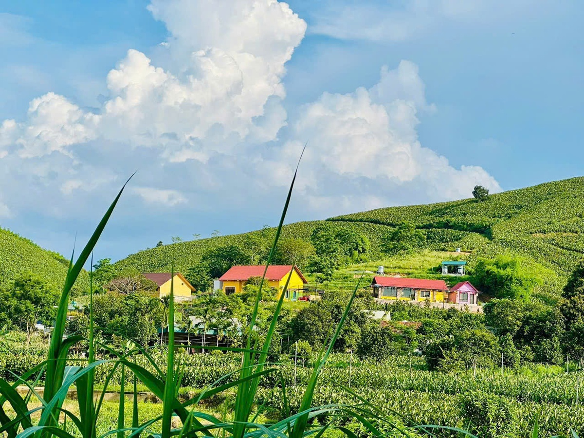 Lớp học tiếng Anh "0" đồng ở Khánh Thượng- Ảnh 1. Lớp học tiếng Anh "0" đồng ở Khánh Thượng- Ảnh 1.