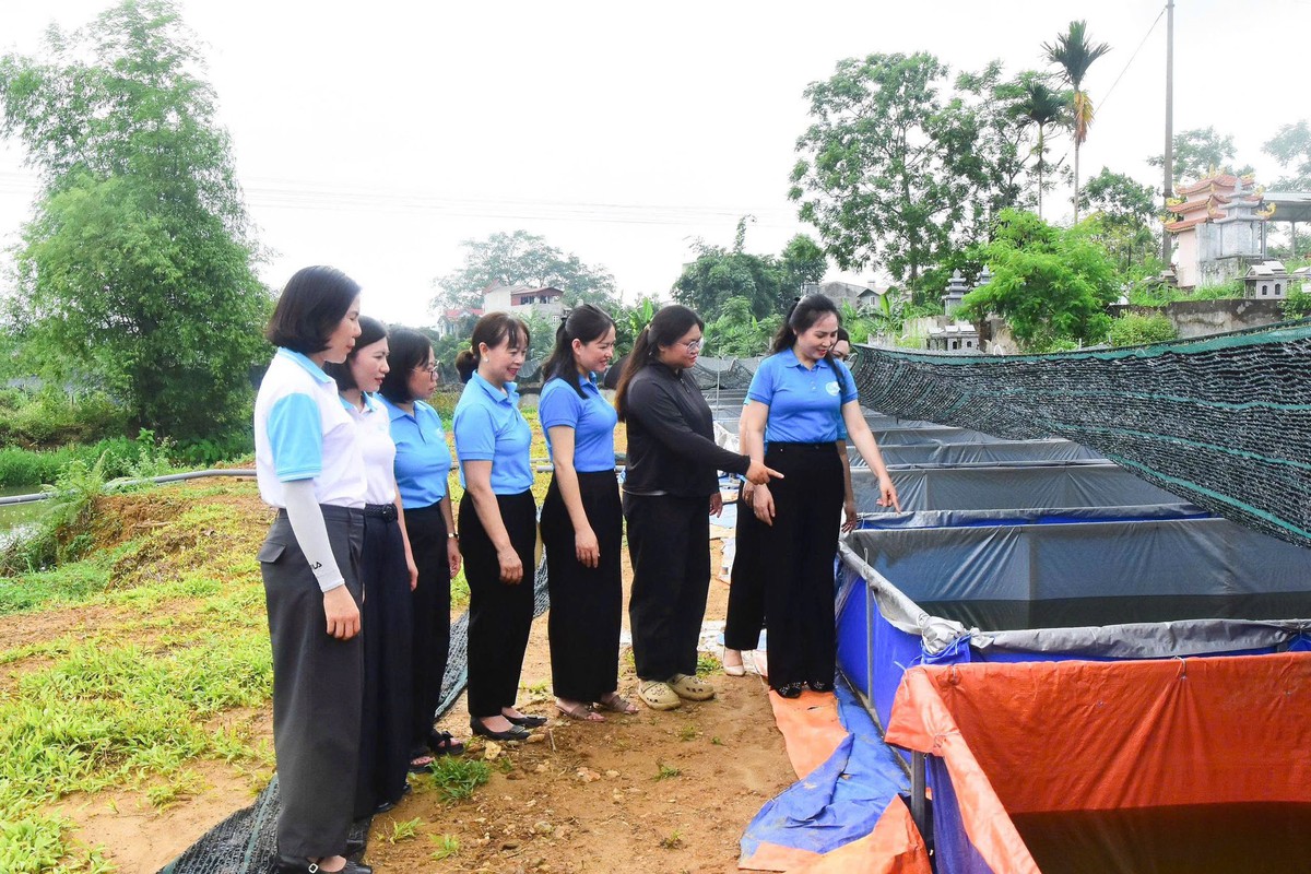 Tuyên Quang: Chủ động triển khai hiệu quả các hoạt động hỗ trợ phụ nữ- Ảnh 3. Tuyên Quang: Chủ động triển khai hiệu quả các hoạt động hỗ trợ phụ nữ- Ảnh 3.