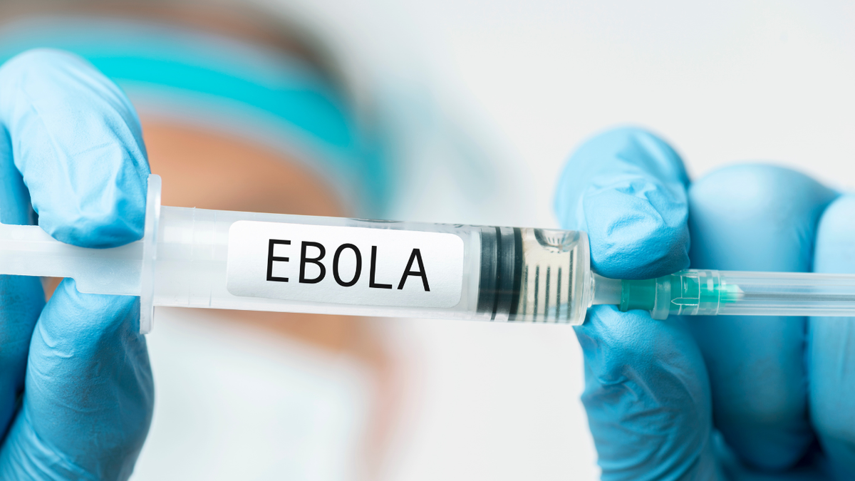 Bộ Y tế yêu cầu chủ động phòng chống bệnh do vi rút Ebola- Ảnh 1. Bộ Y tế yêu cầu chủ động phòng chống bệnh do vi rút Ebola- Ảnh 1.