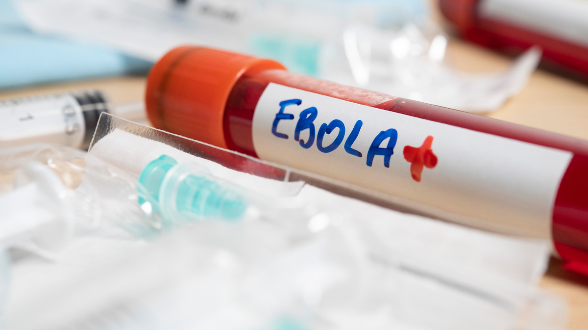 Việt Nam chủ động ứng phó nguy cơ dịch Ebola từ bên ngoài- Ảnh 2. Việt Nam chủ động ứng phó nguy cơ dịch Ebola từ bên ngoài- Ảnh 2.