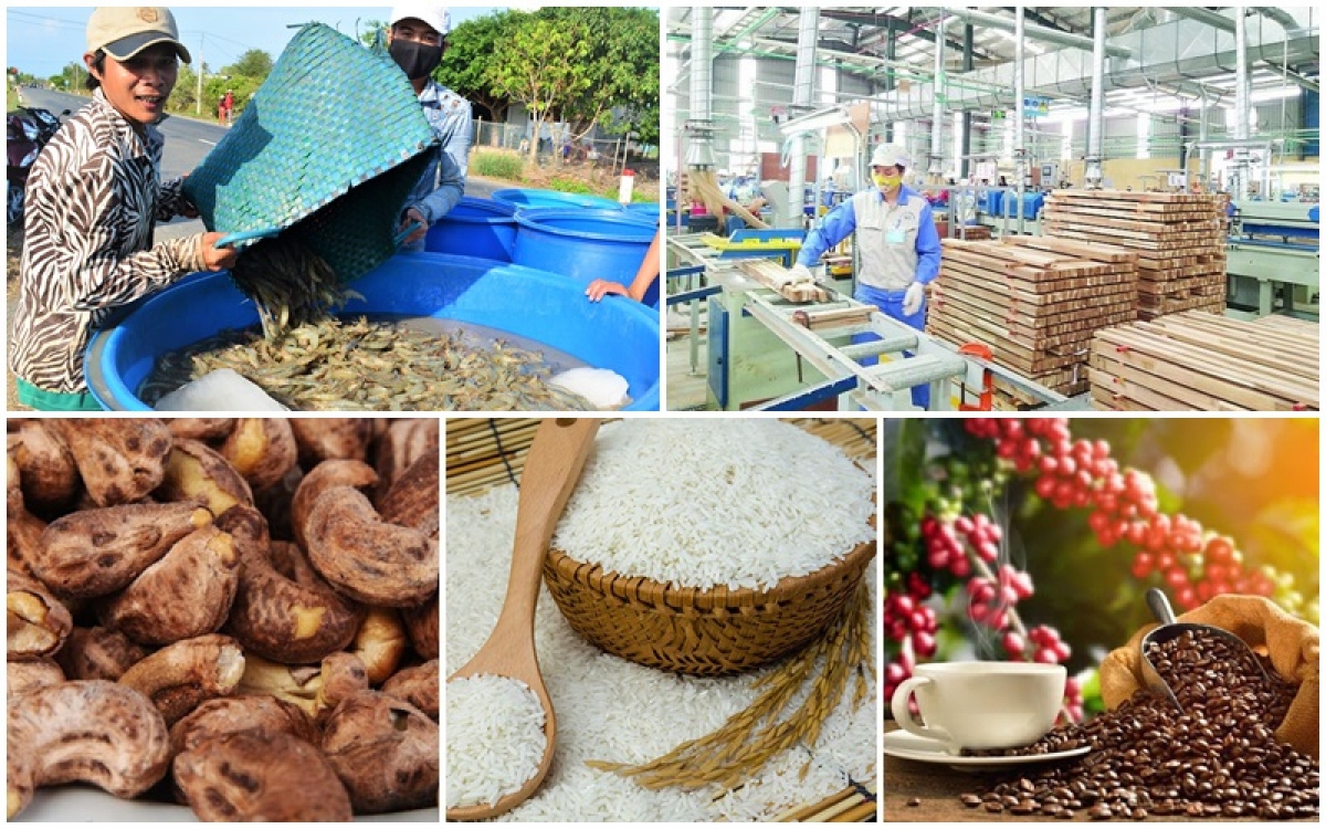 Carbon, truy xuất, dư lượng tối đa cho phép: “Cuộc sát hạch” mới của nông sản Việt trên thị trường toàn cầu- Ảnh 1.