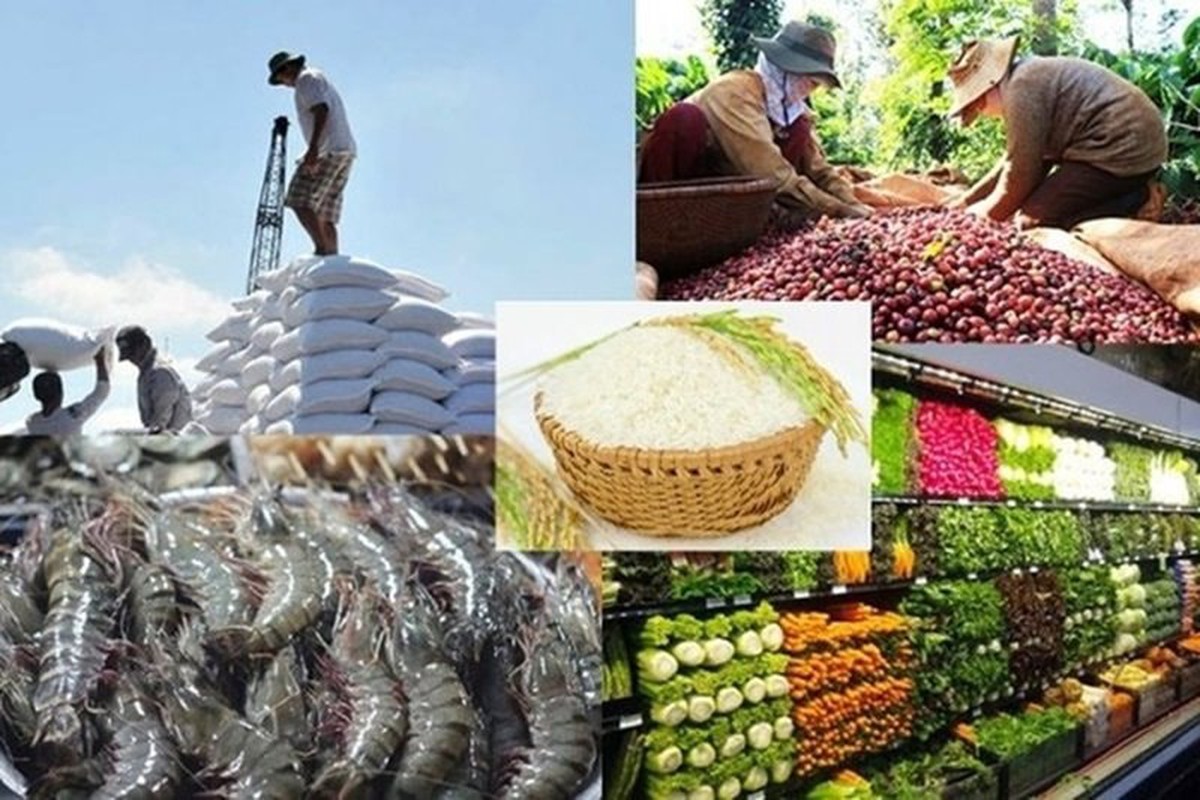 Carbon, truy xuất, dư lượng tối đa cho phép: “Cuộc sát hạch” mới của nông sản Việt trên thị trường toàn cầu- Ảnh 2.