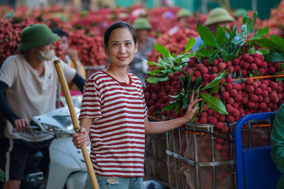 Vải thiều vào chính vụ, các bộ ngành phối hợp hỗ trợ xuất khẩu- Ảnh 2.