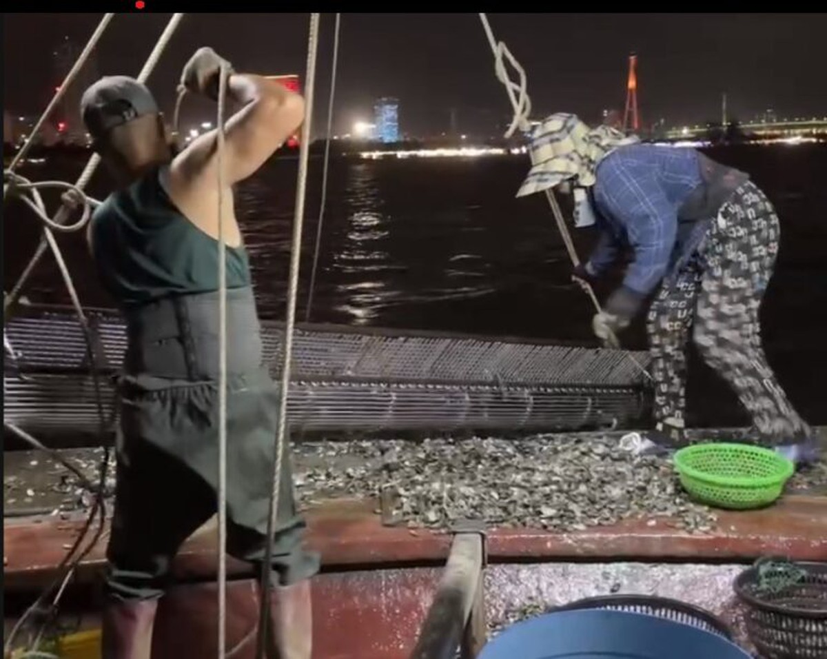 Quảng Ninh: Tăng cường xử lý nạn khai thác tận diệt trên biển- Ảnh 1.