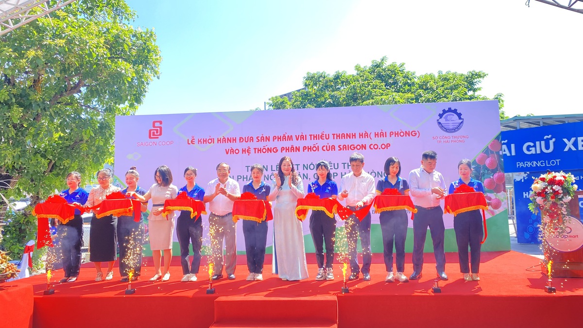 Saigon Co.op đưa vải thiều Thanh Hà đến hơn 800 điểm bán hàng trên cả nước- Ảnh 1. Saigon Co.op đưa vải thiều Thanh Hà đến hơn 800 điểm bán hàng trên cả nước- Ảnh 1.