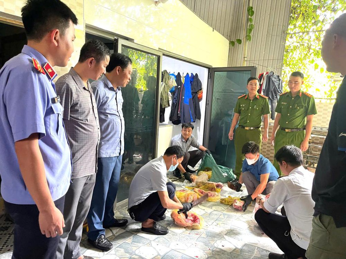 Bắt đối tượng chuyên thu mua lợn dịch về giết mổ bán ra thị trường- Ảnh 1.