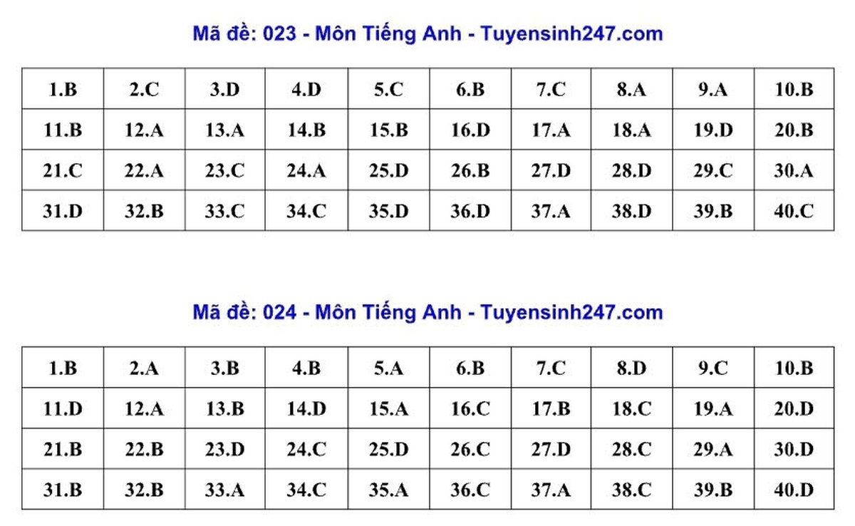 Thi vào lớp 10 ở Hà Nội: Gợi ý đáp án đầy đủ 24 mã đề môn Tiếng Anh - Ảnh 6.