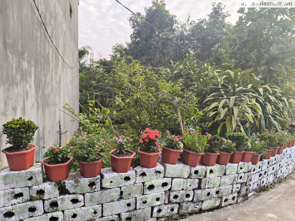 Phụ nữ xứ Lạng tô điểm đường quê vùng biên chào mừng Đại hội Phụ nữ toàn quốc XIV- Ảnh 6.